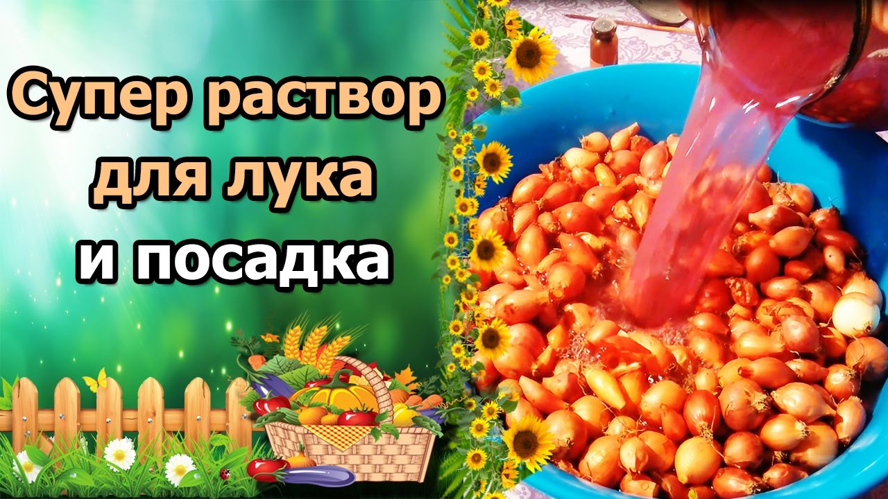 Нажмите, чтобы запустить видео