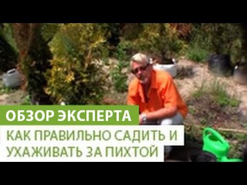 Нажмите, чтобы запустить видео