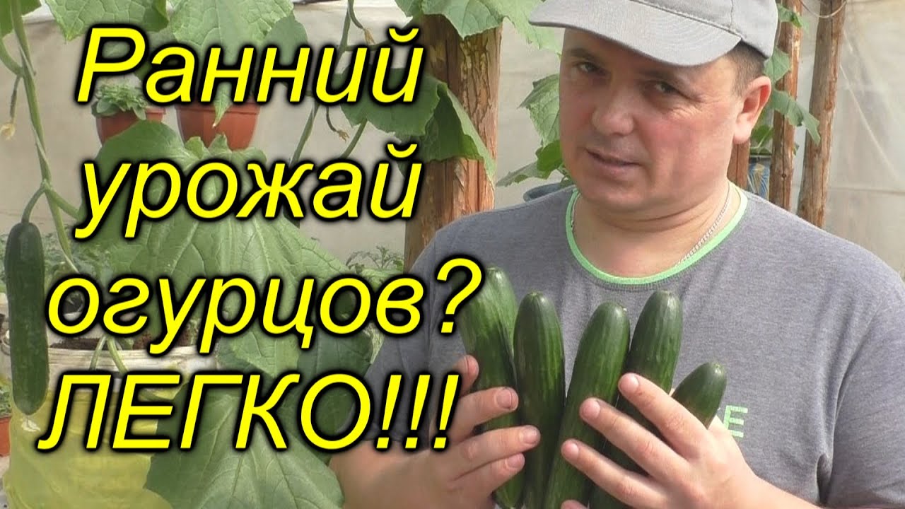 Нажмите, чтобы запустить видео