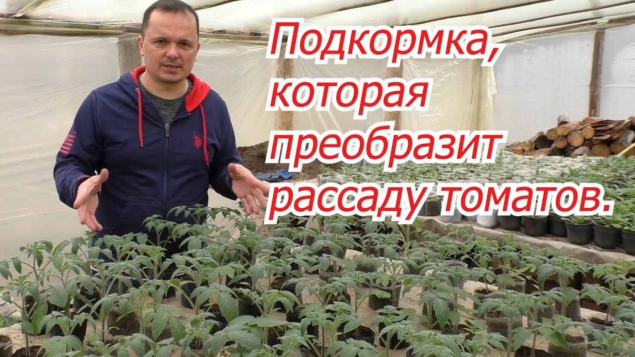 Нажмите, чтобы запустить видео