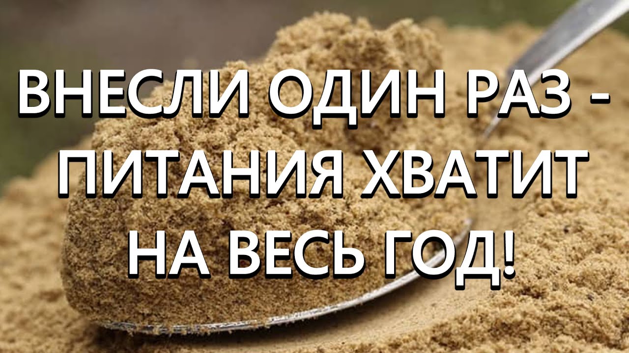 Нажмите, чтобы запустить видео