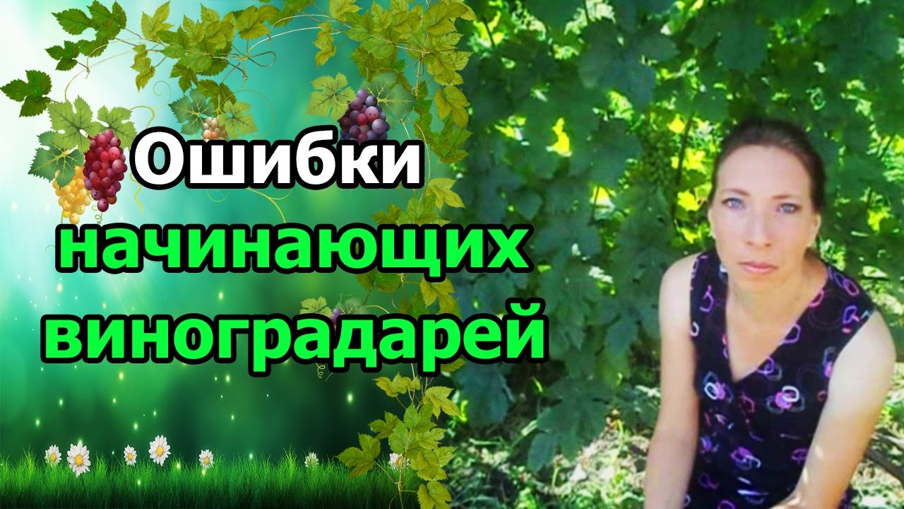 Нажмите, чтобы запустить видео