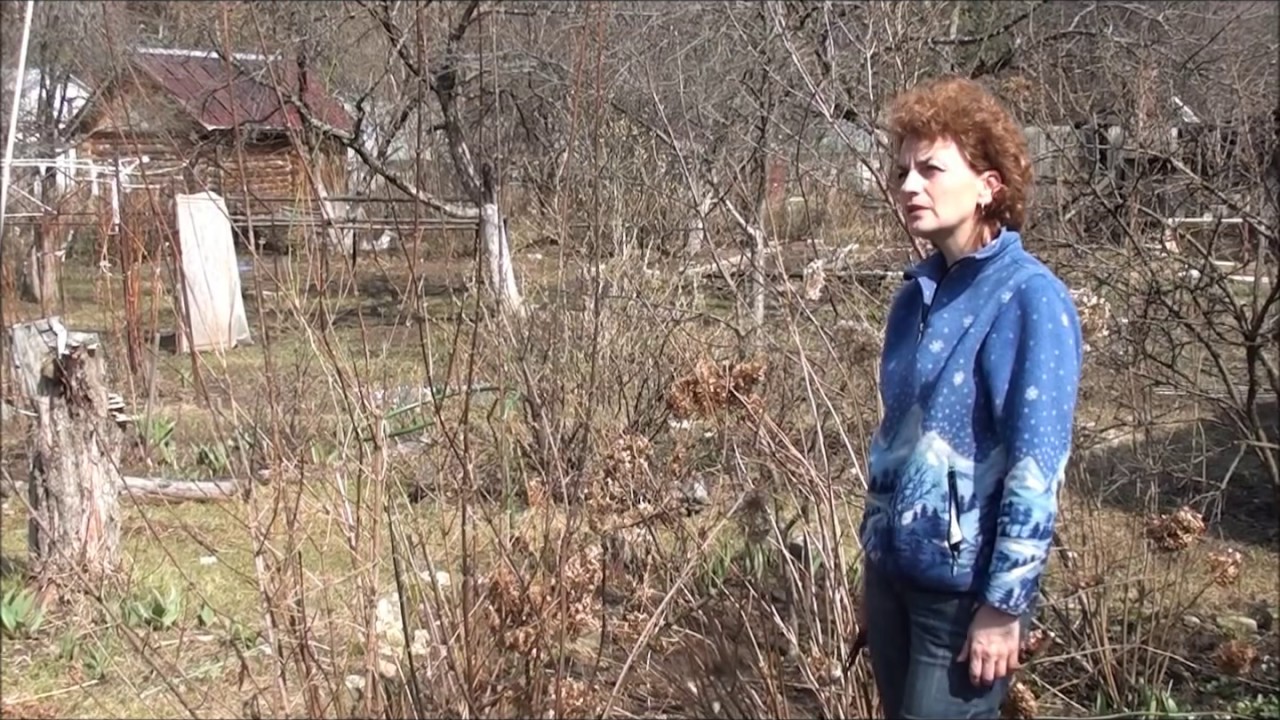 Нажмите, чтобы запустить видео