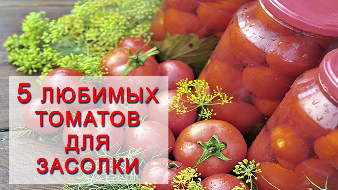 Нажмите, чтобы запустить видео