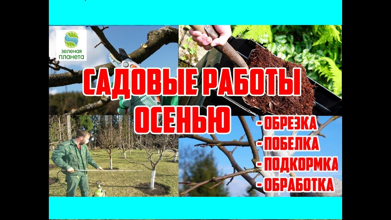 Нажмите, чтобы запустить видео