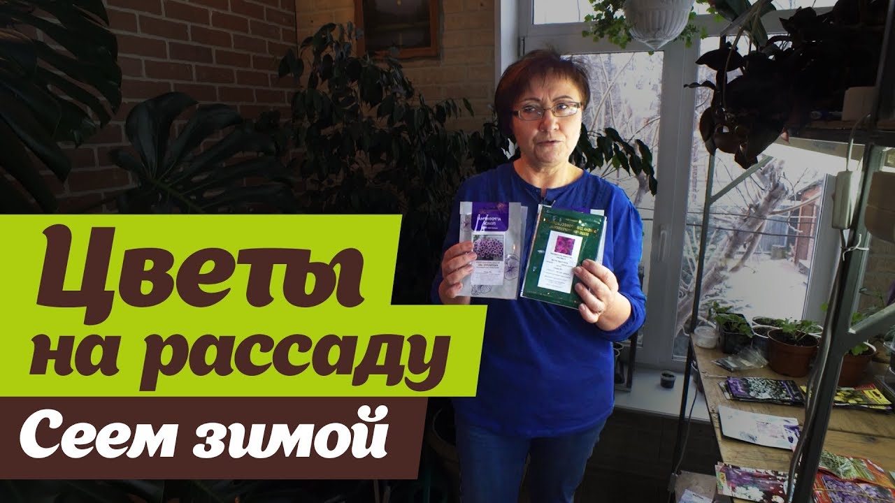 Нажмите, чтобы запустить видео