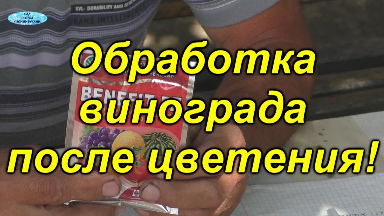 Нажмите, чтобы запустить видео