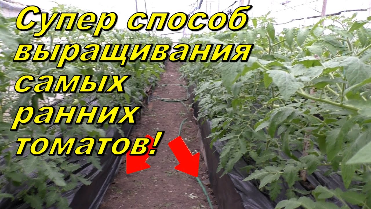 Нажмите, чтобы запустить видео