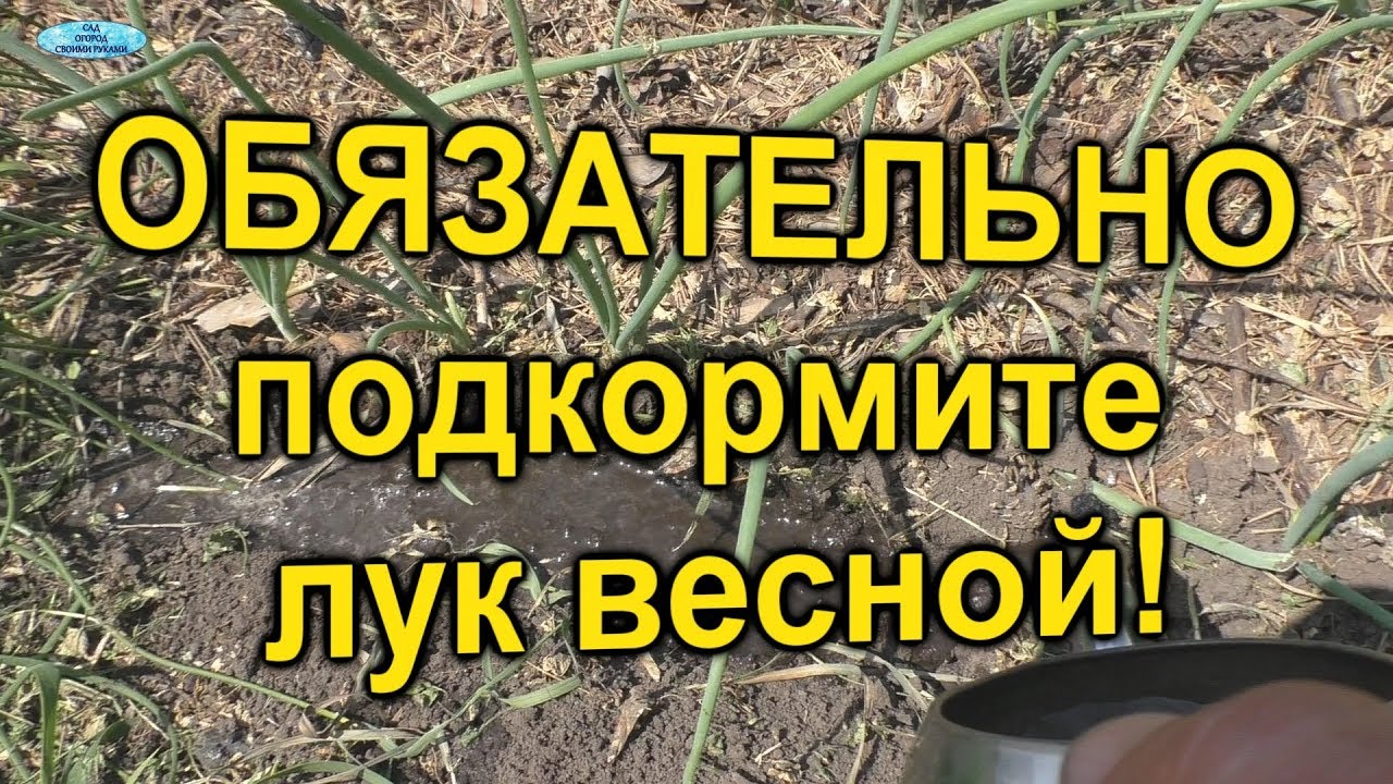 Нажмите, чтобы запустить видео