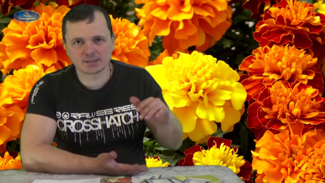 Нажмите, чтобы запустить видео