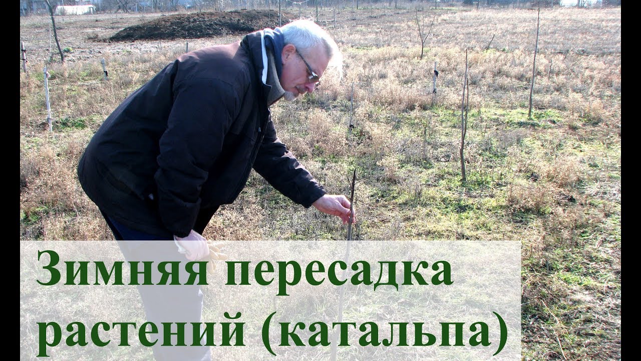 Нажмите, чтобы запустить видео