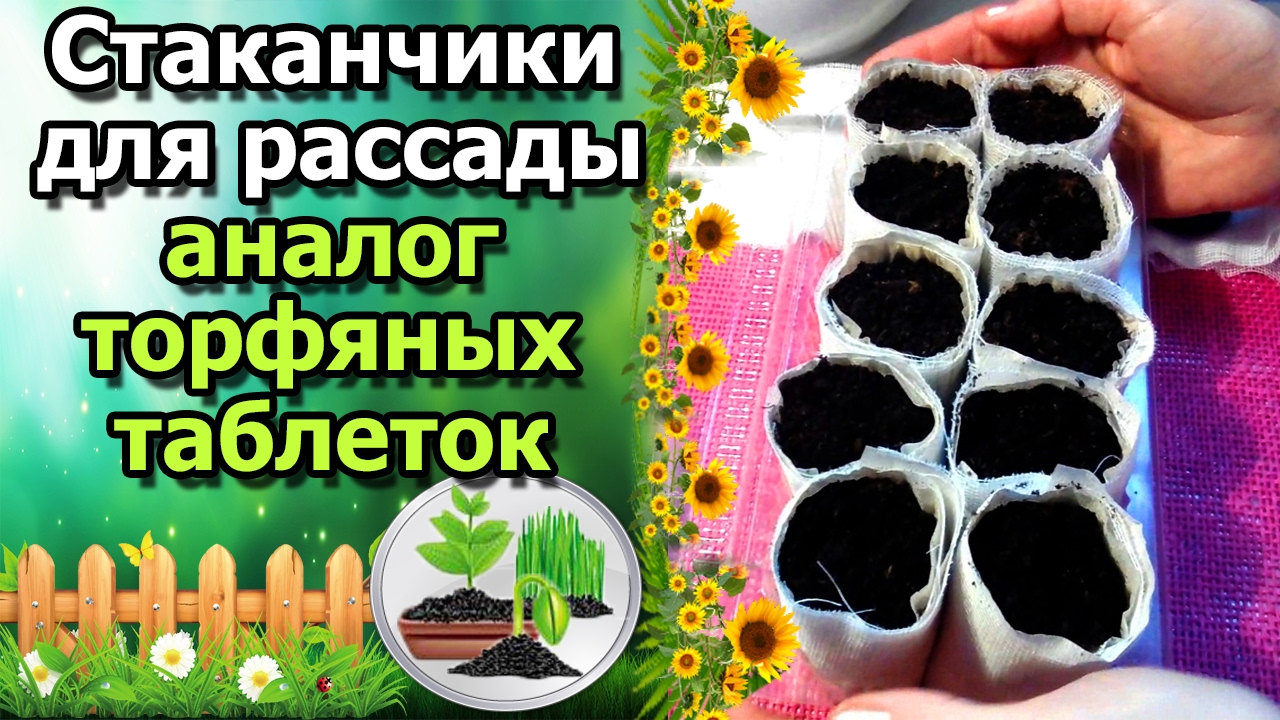 Нажмите, чтобы запустить видео