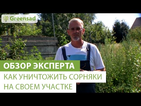 Нажмите, чтобы запустить видео