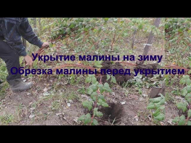 Нажмите, чтобы запустить видео