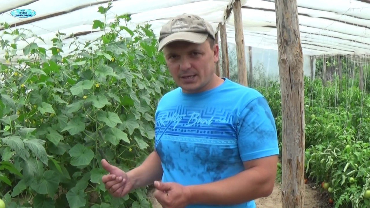 Нажмите, чтобы запустить видео