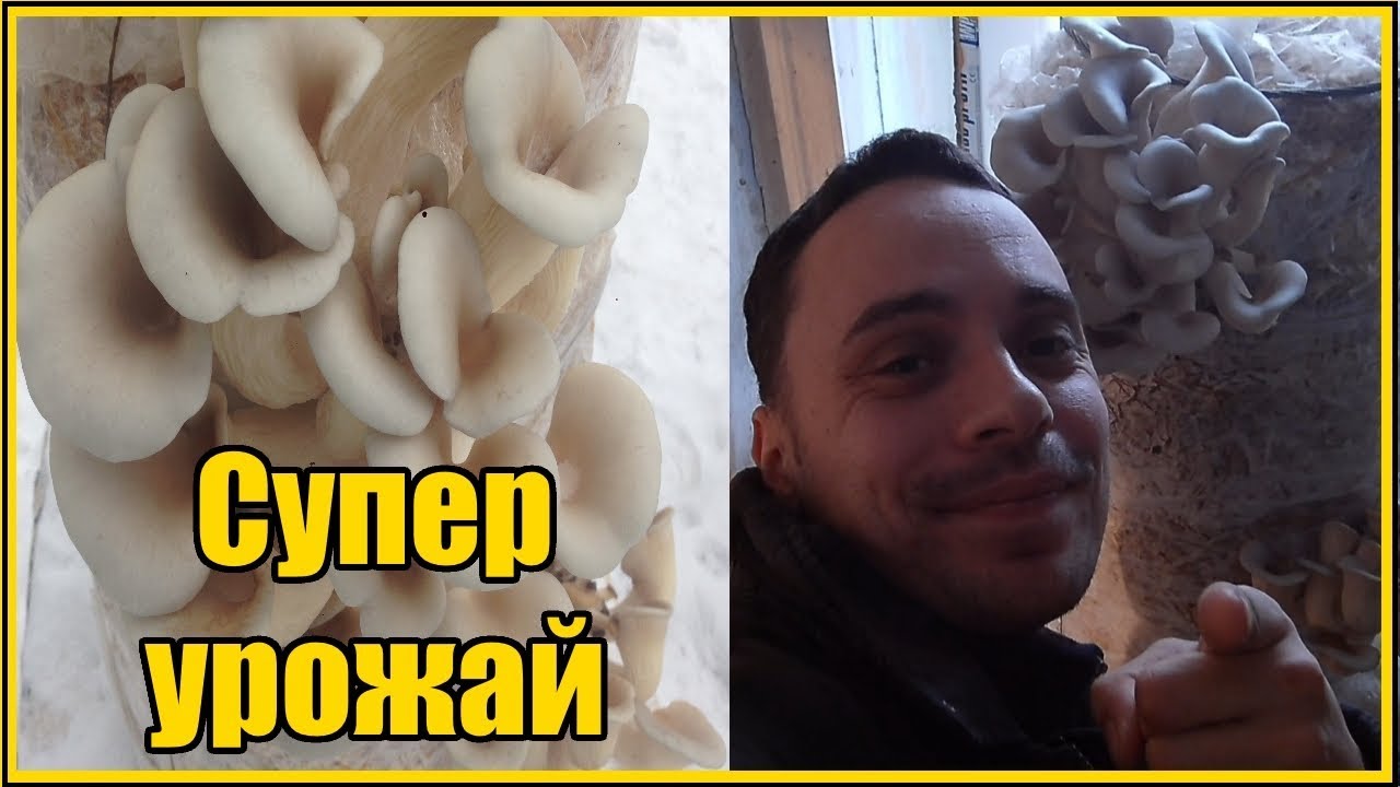 Нажмите, чтобы запустить видео
