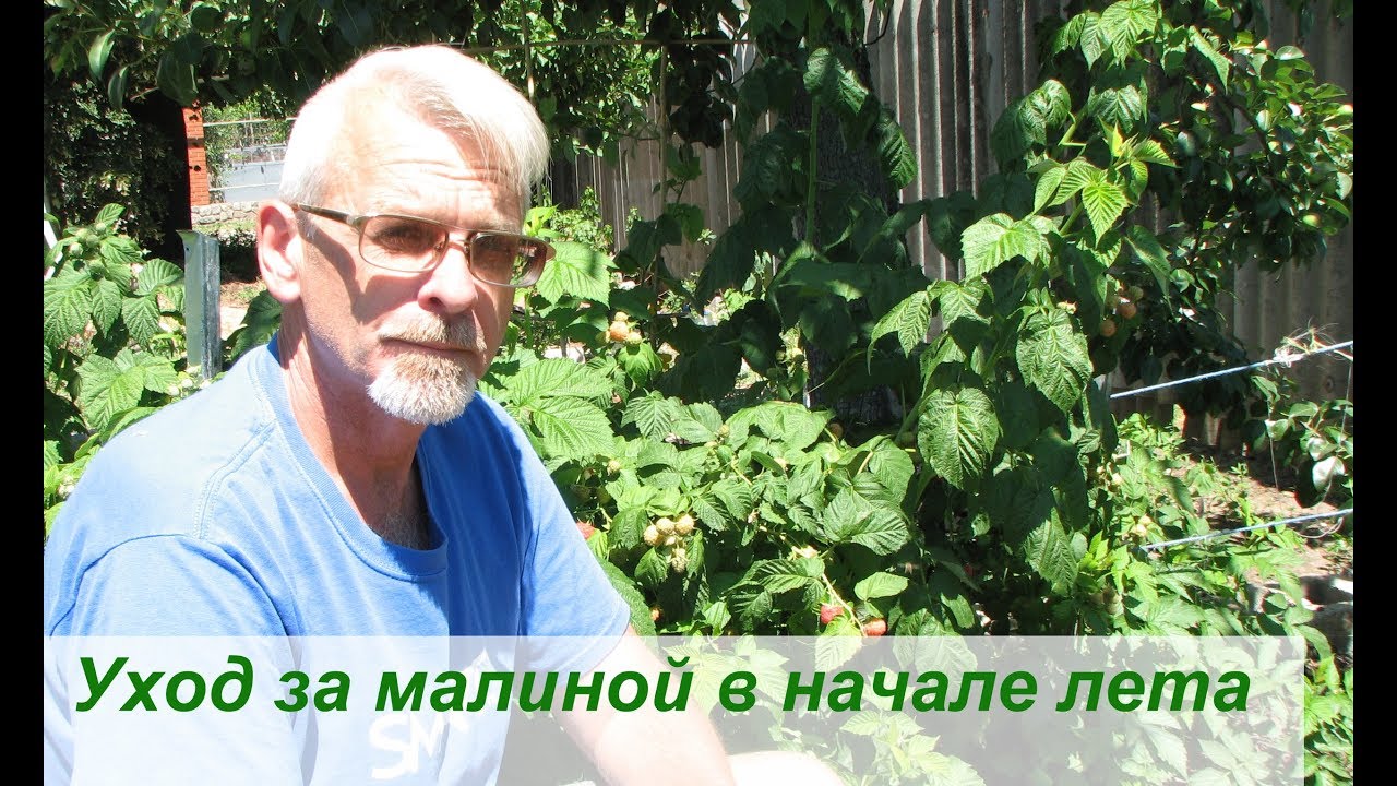 Нажмите, чтобы запустить видео