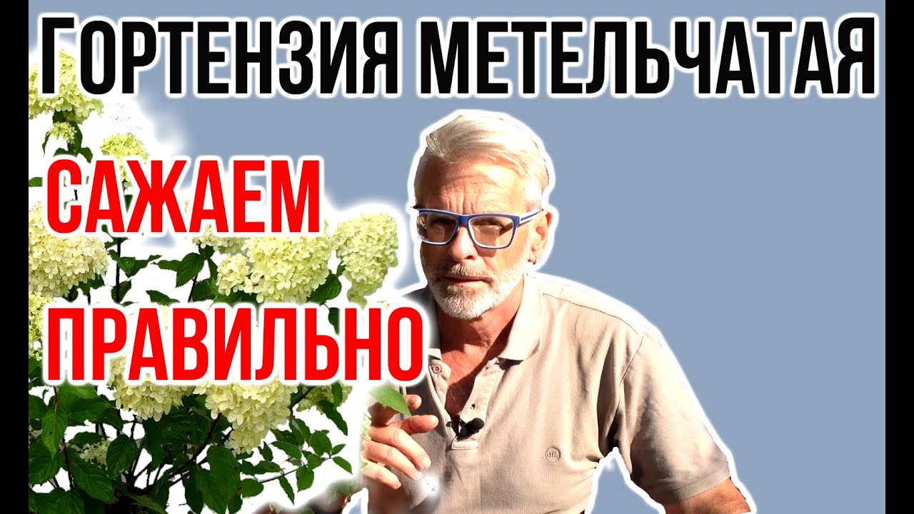 Нажмите, чтобы запустить видео