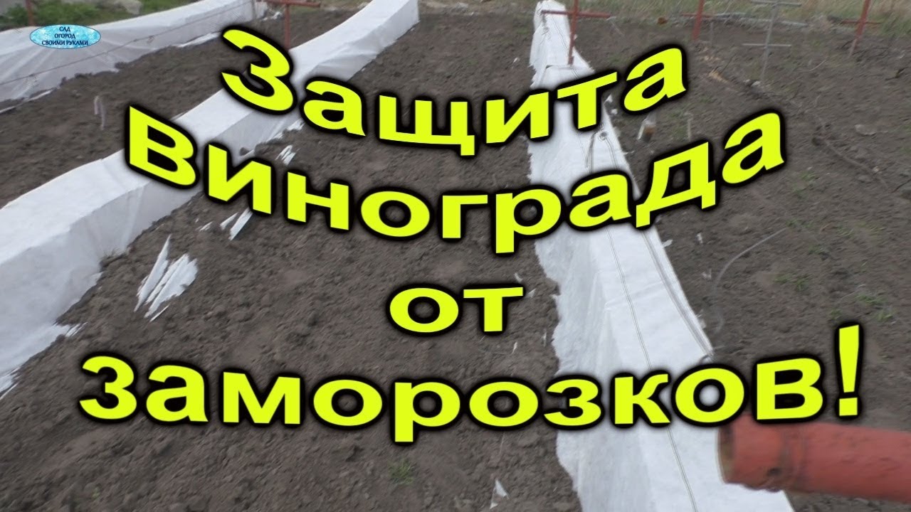 Нажмите, чтобы запустить видео