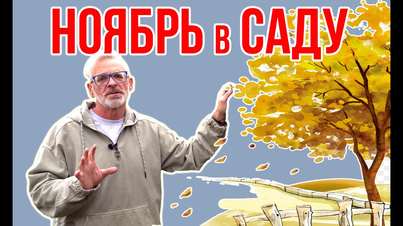 Нажмите, чтобы запустить видео