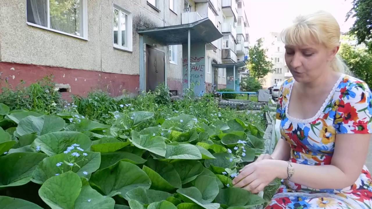Нажмите, чтобы запустить видео