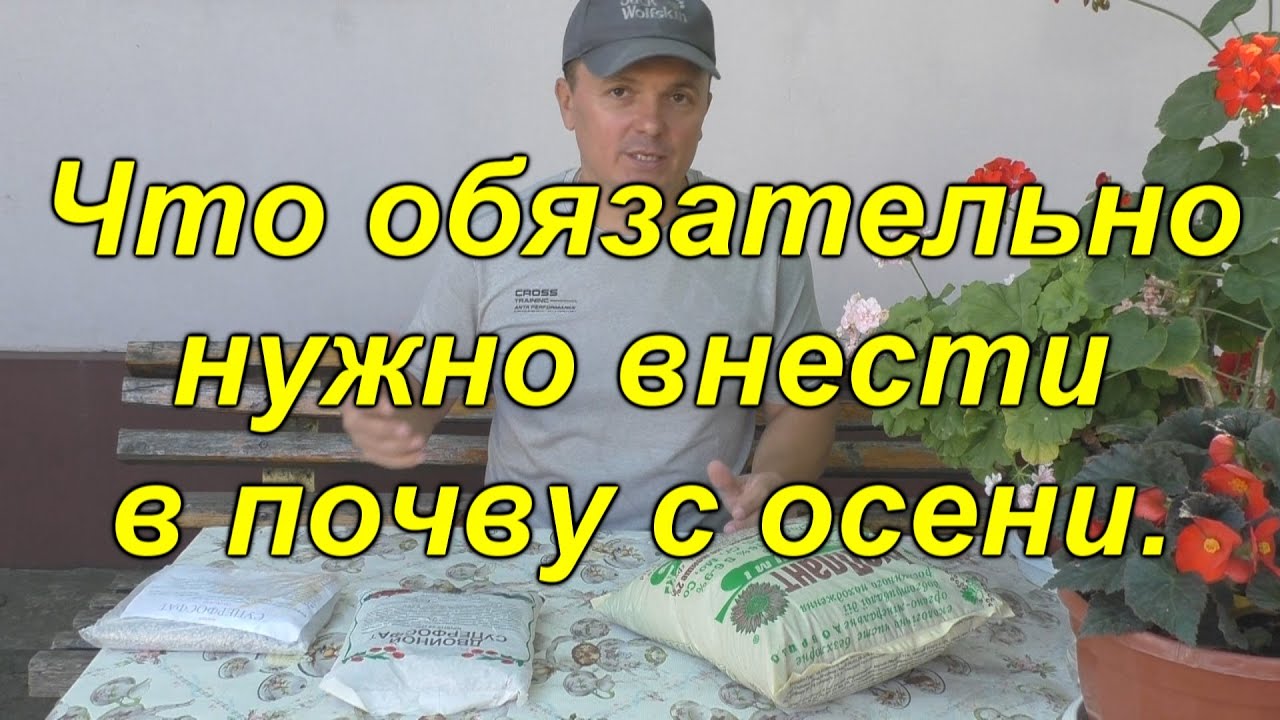 Нажмите, чтобы запустить видео