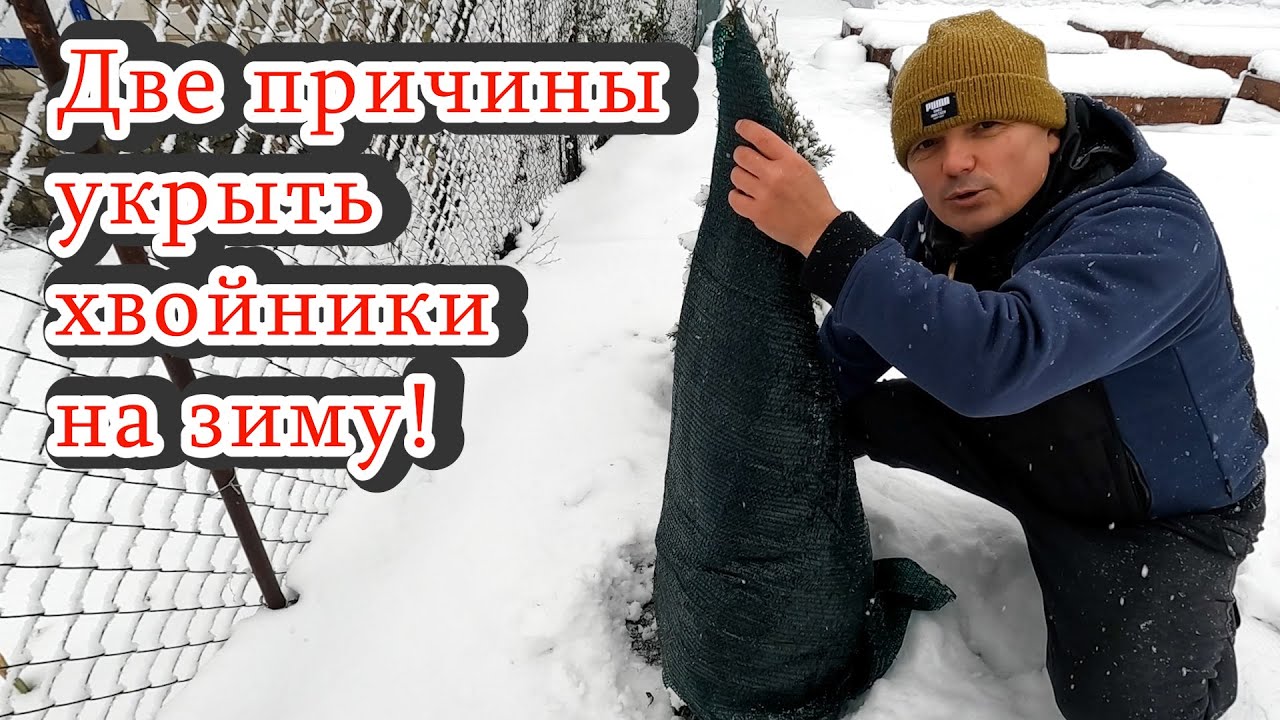 Нажмите, чтобы запустить видео