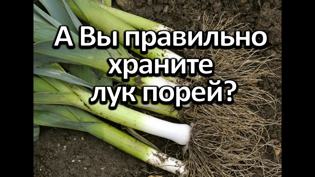 Нажмите, чтобы запустить видео