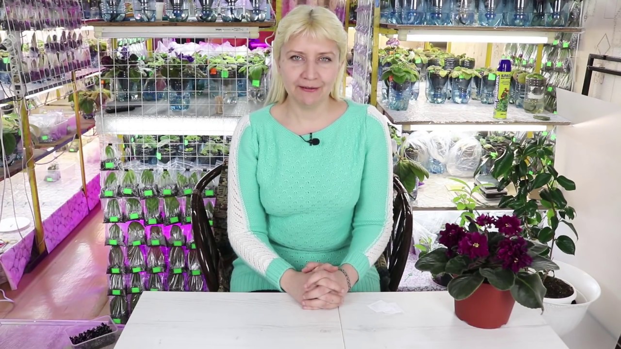 Нажмите, чтобы запустить видео