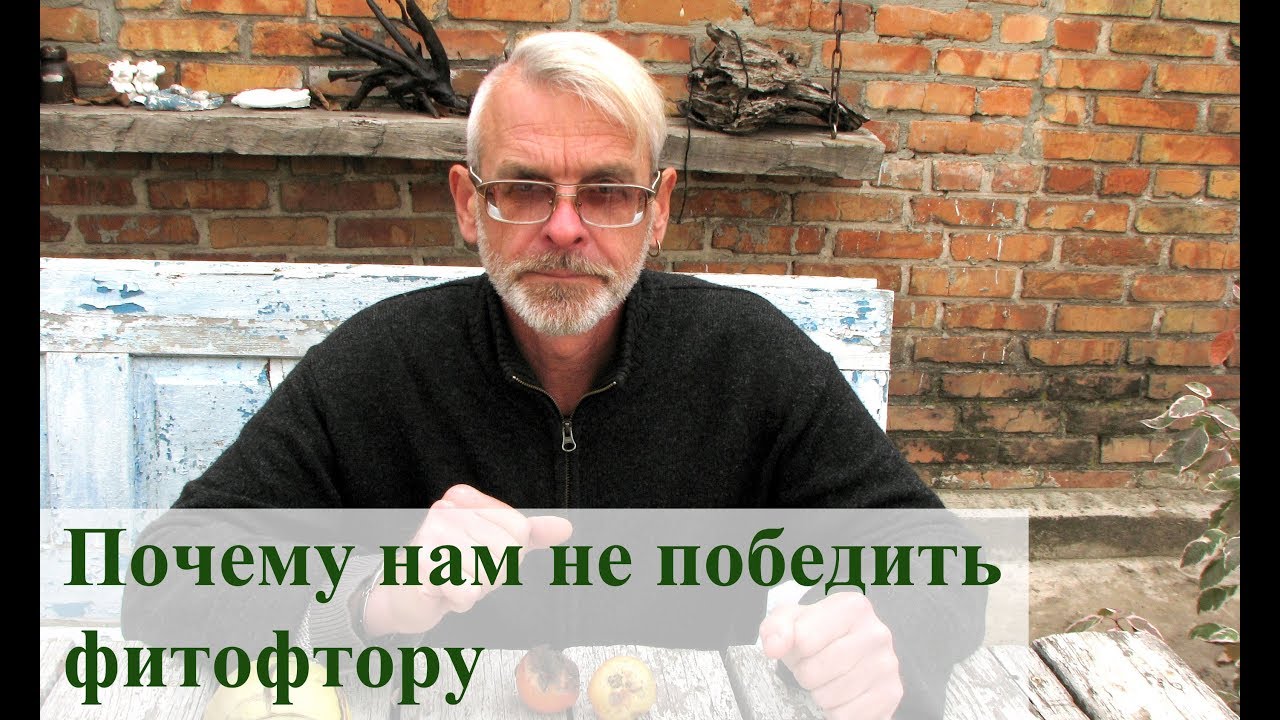 Нажмите, чтобы запустить видео