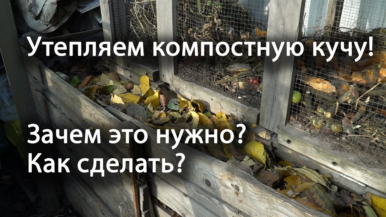 Нажмите, чтобы запустить видео