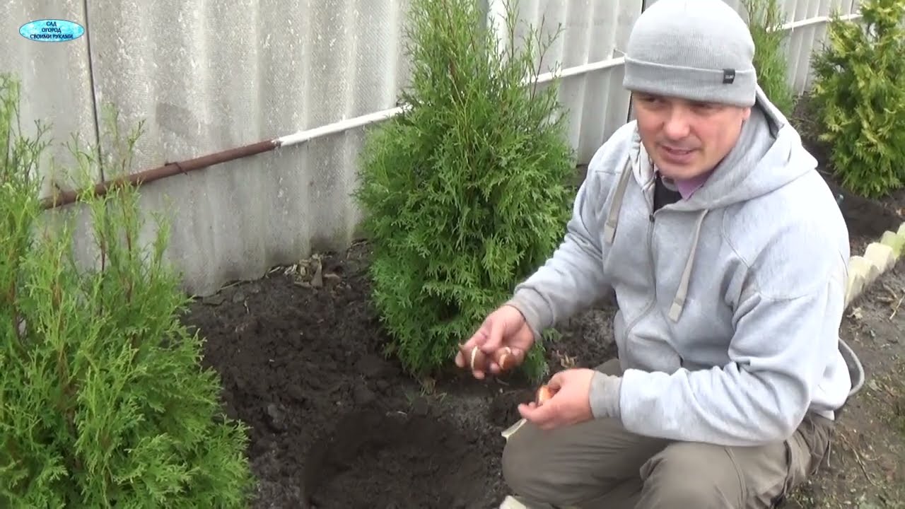 Нажмите, чтобы запустить видео