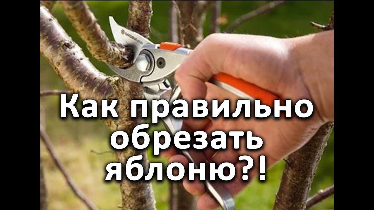 Нажмите, чтобы запустить видео