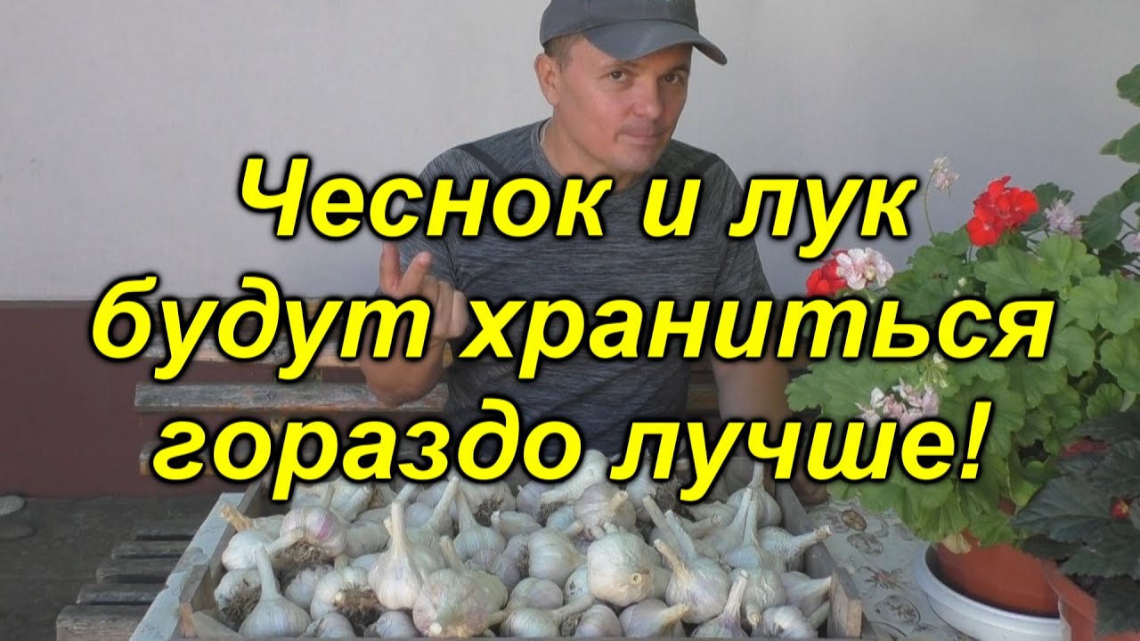 Нажмите, чтобы запустить видео