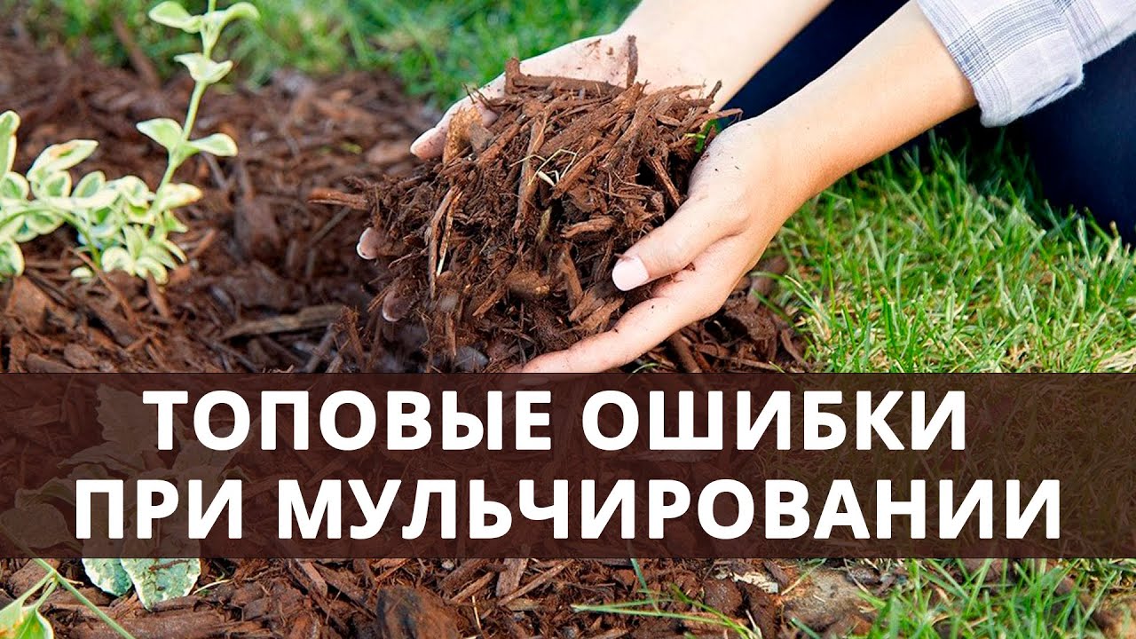 Нажмите, чтобы запустить видео