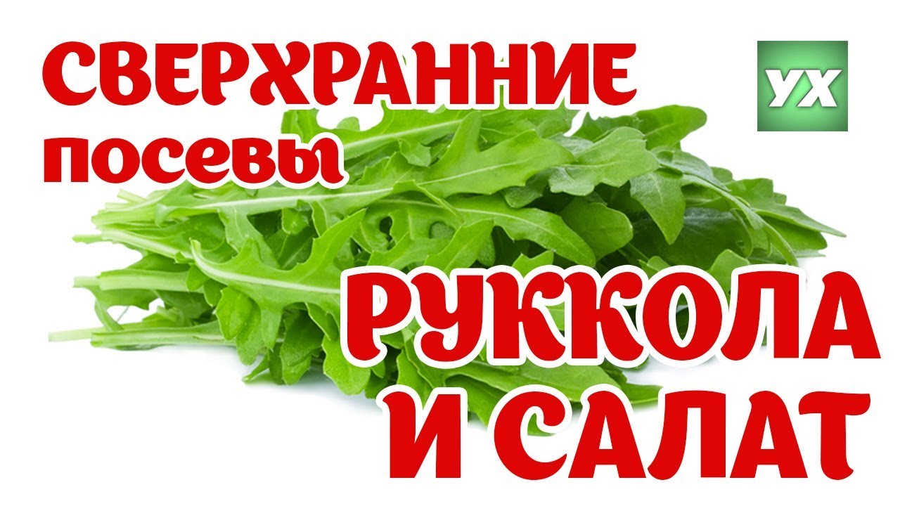 Нажмите, чтобы запустить видео