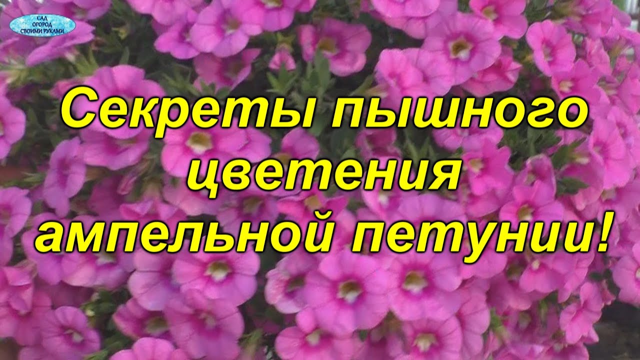 Нажмите, чтобы запустить видео