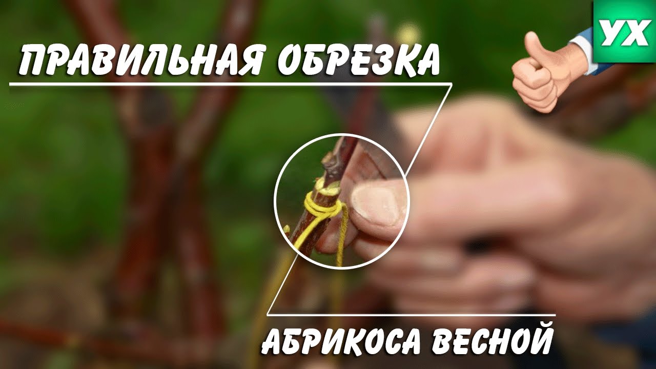Нажмите, чтобы запустить видео