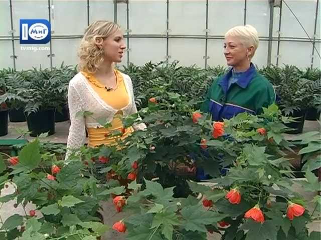 Нажмите, чтобы запустить видео