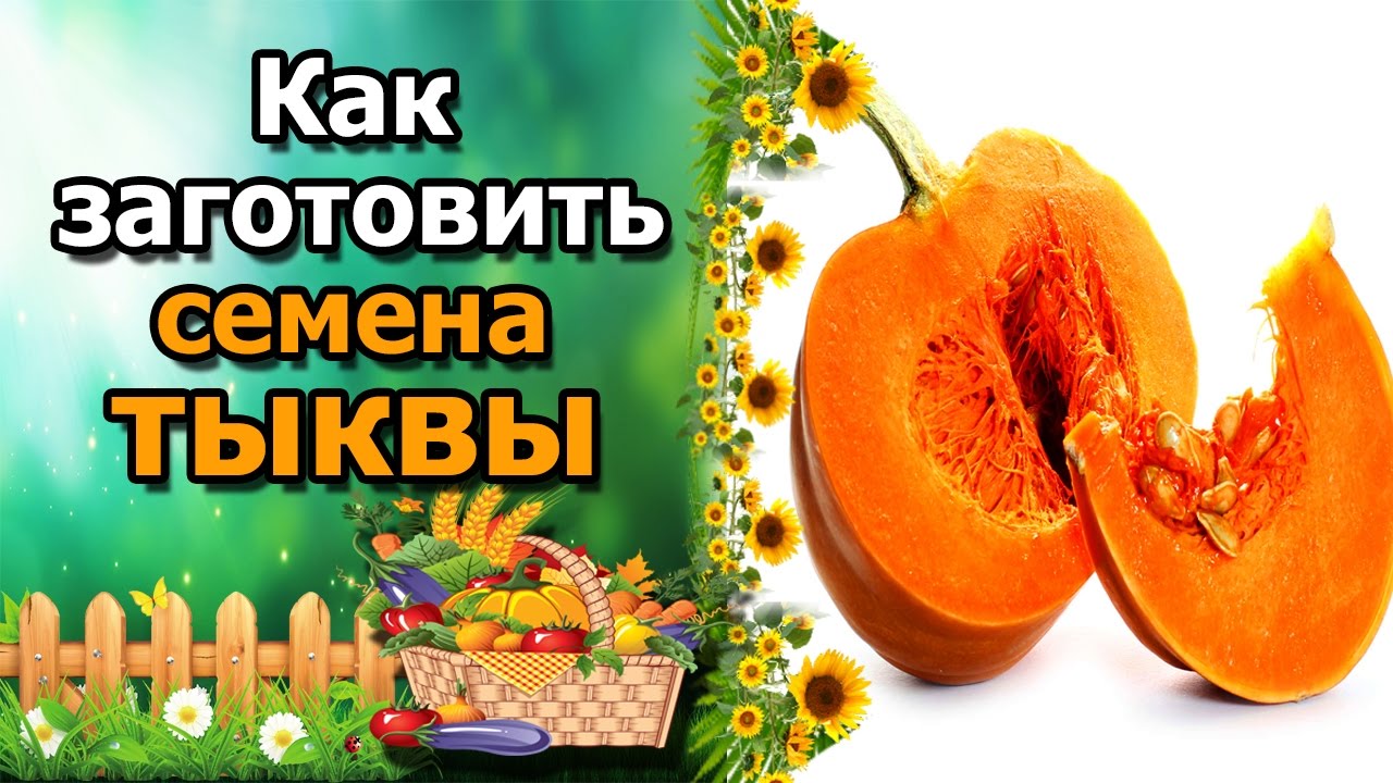 Нажмите, чтобы запустить видео
