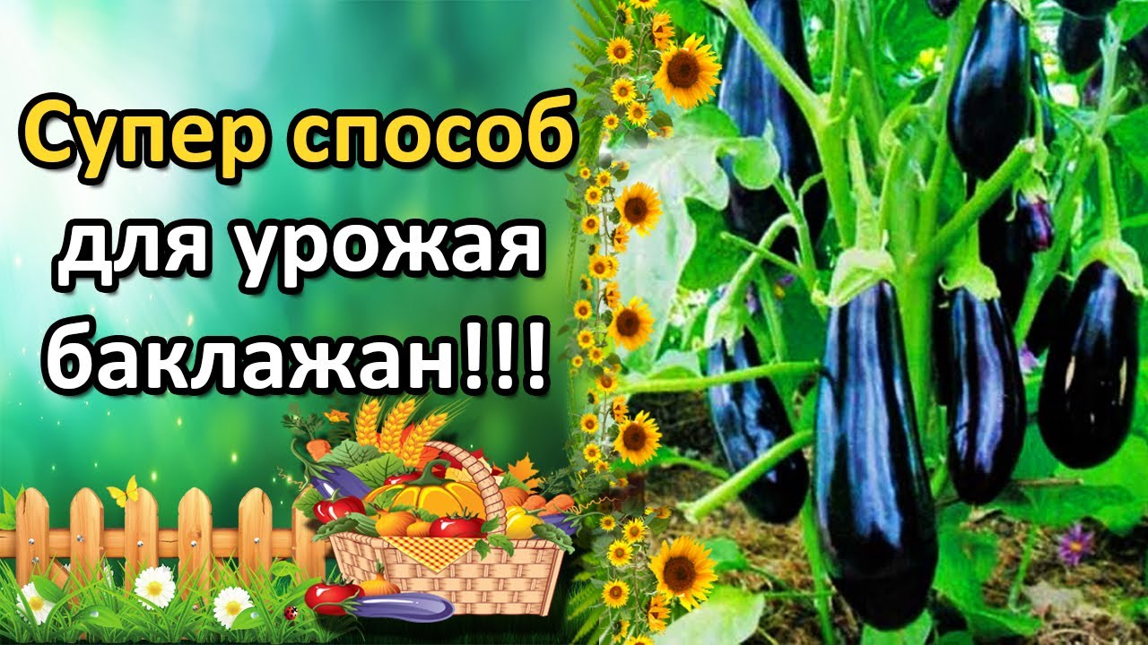 Нажмите, чтобы запустить видео
