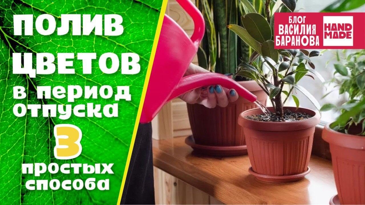 Нажмите, чтобы запустить видео