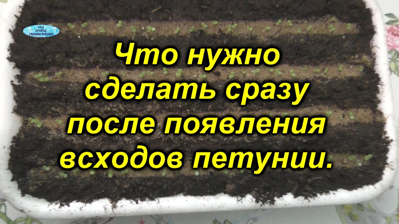 Нажмите, чтобы запустить видео