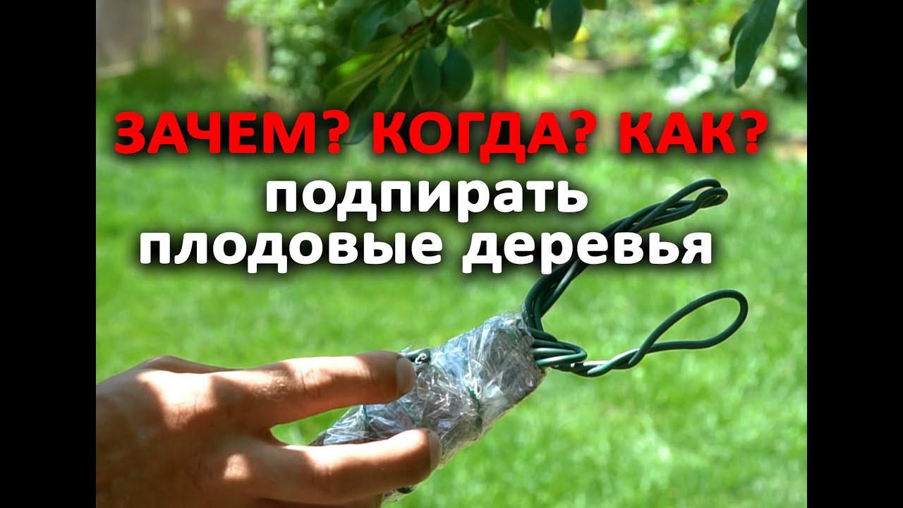 Нажмите, чтобы запустить видео