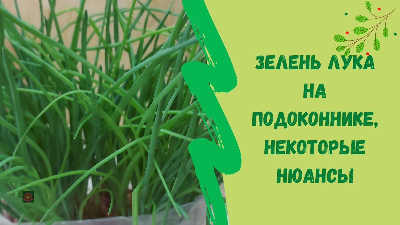 Нажмите, чтобы запустить видео