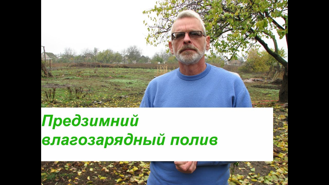 Нажмите, чтобы запустить видео