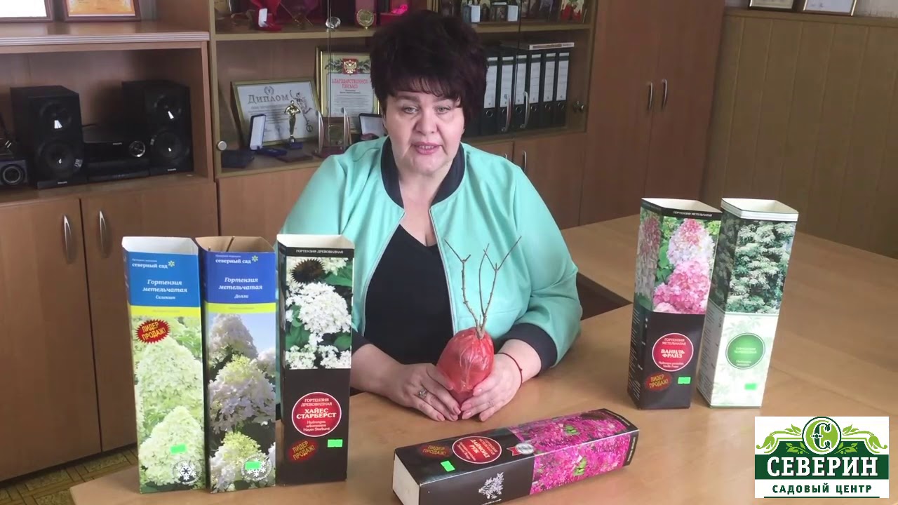 Нажмите, чтобы запустить видео