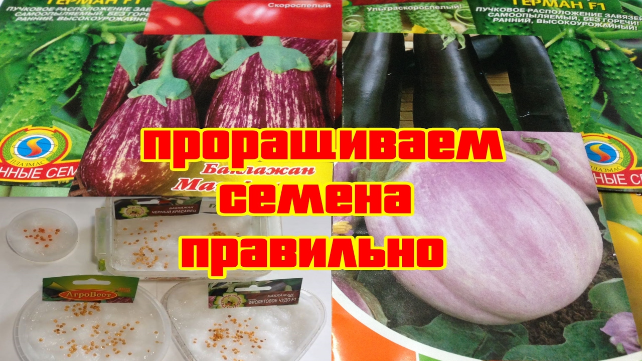 Нажмите, чтобы запустить видео