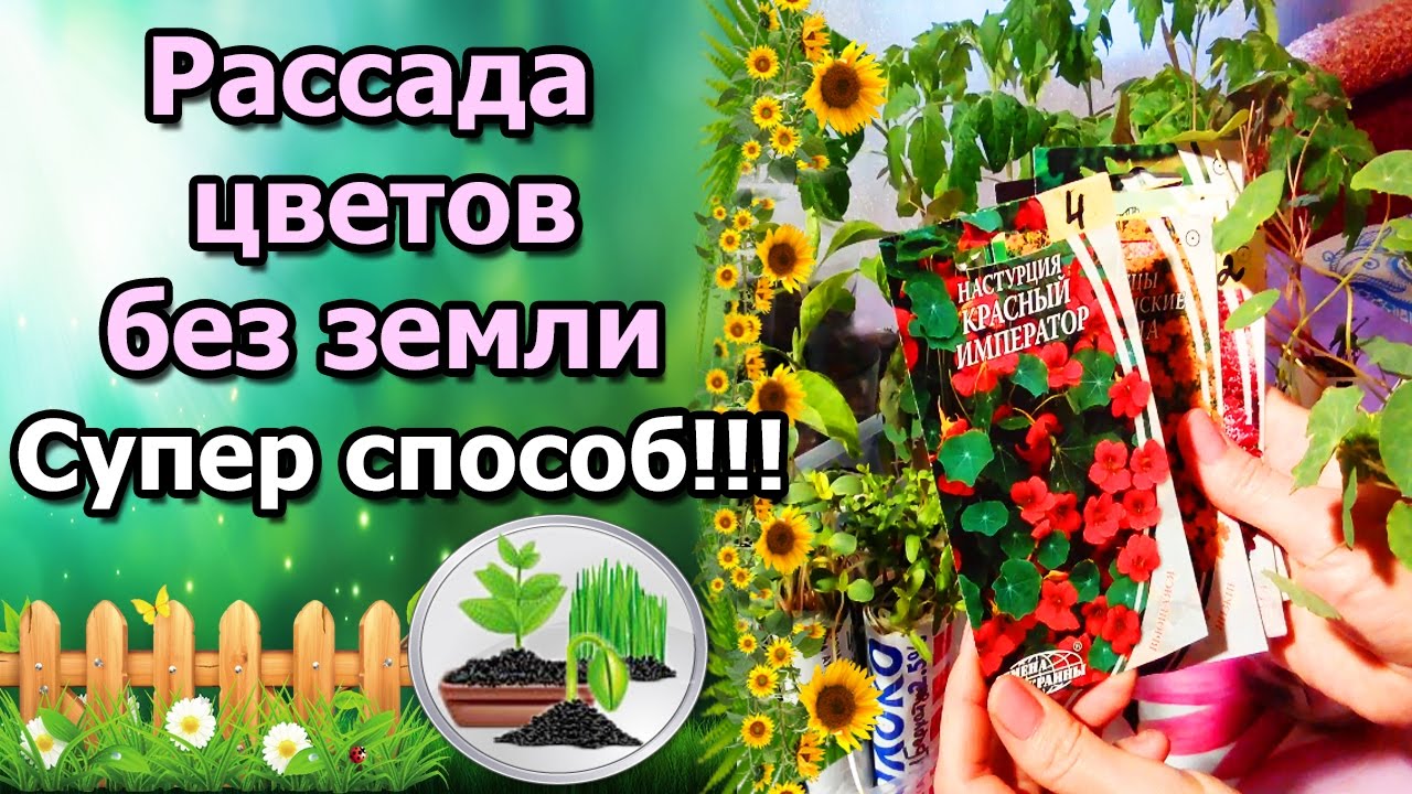 Нажмите, чтобы запустить видео
