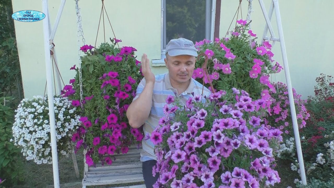 Нажмите, чтобы запустить видео